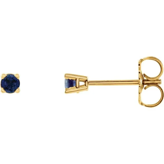 14K Yellow Gold 2.5 mm Natural Blue Sapphire Stud Earrings with Friction Post