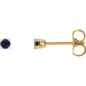 14K Yellow Gold 2.5 mm Natural Blue Sapphire Stud Earrings with Friction Post