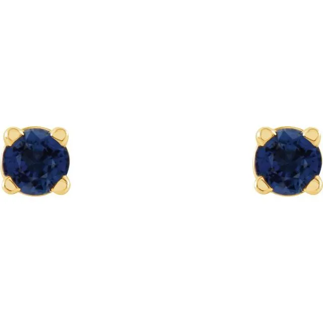 14K Yellow Gold 2.5 mm Natural Blue Sapphire Stud Earrings with Friction Post