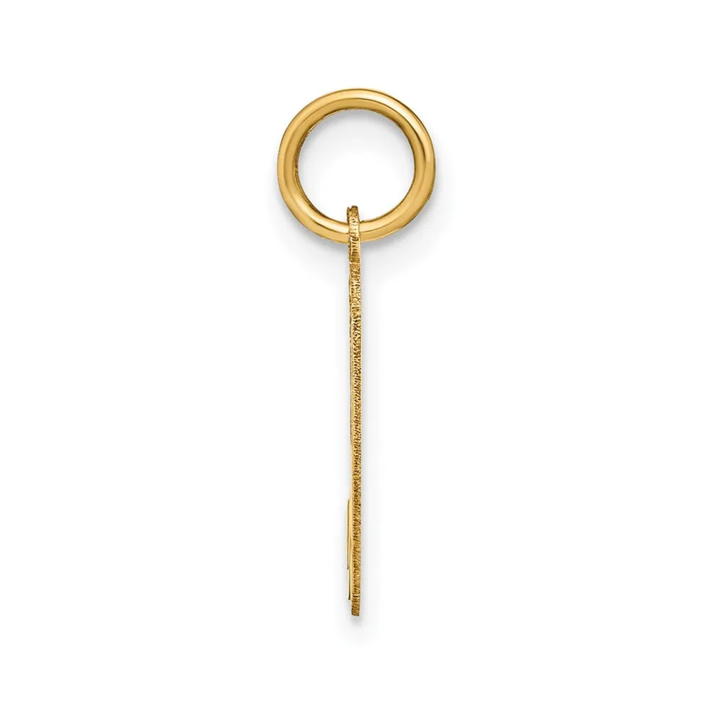 14k Yellow Gold Lower case Letter H Initial Charm