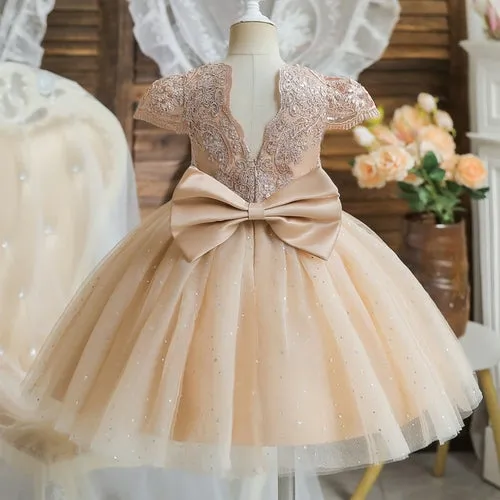 Elegant Pink Princess Dress for 12 Month Old Baby Girl's First Birthday