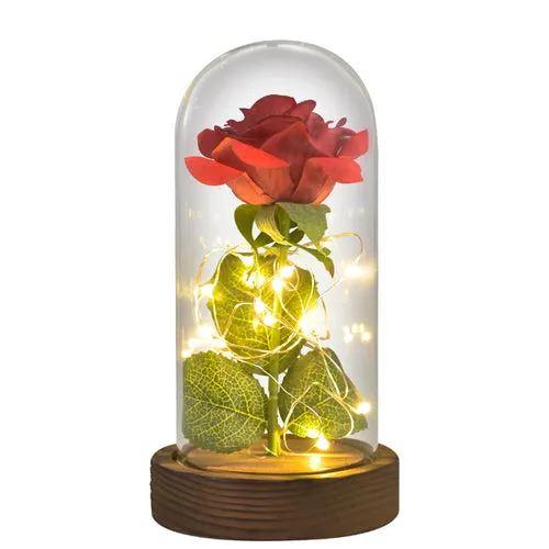 Enchanted Galaxy LED Preserved Rose Beauty and the Beast Glass Dome