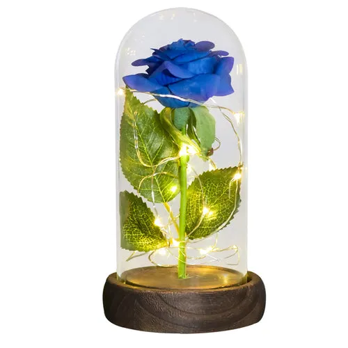Enchanted Galaxy LED Preserved Rose Beauty and the Beast Glass Dome