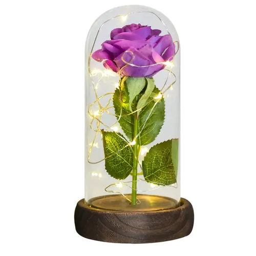 Enchanted Galaxy LED Preserved Rose Beauty and the Beast Glass Dome