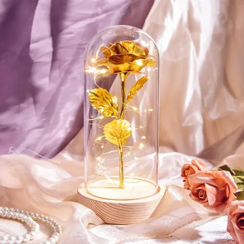 Enchanted Galaxy LED Preserved Rose Beauty and the Beast Glass Dome