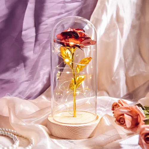 Enchanted Galaxy LED Preserved Rose Beauty and the Beast Glass Dome
