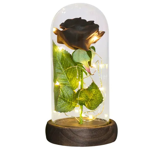 Enchanted Galaxy LED Preserved Rose Beauty and the Beast Glass Dome