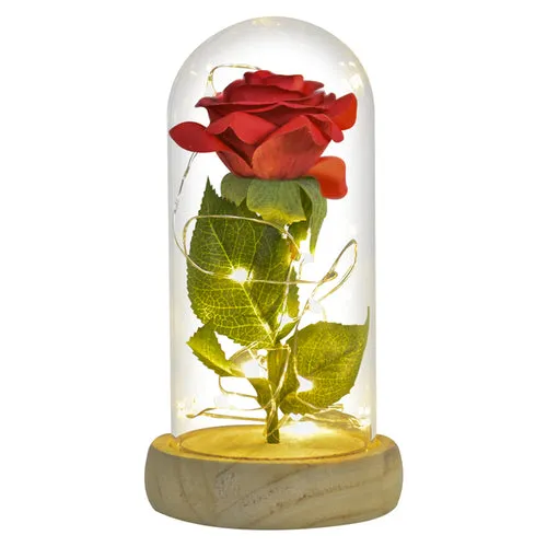 Enchanted Galaxy LED Preserved Rose Beauty and the Beast Glass Dome