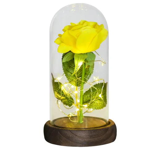 Enchanted Galaxy LED Preserved Rose Beauty and the Beast Glass Dome