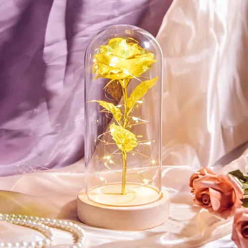 Enchanted Galaxy LED Preserved Rose Beauty and the Beast Glass Dome