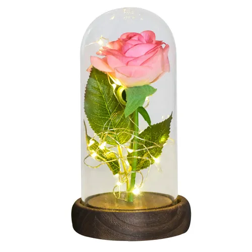 Enchanted Galaxy LED Preserved Rose Beauty and the Beast Glass Dome