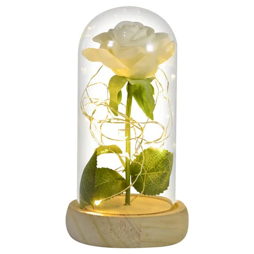 Enchanted Galaxy LED Preserved Rose Beauty and the Beast Glass Dome