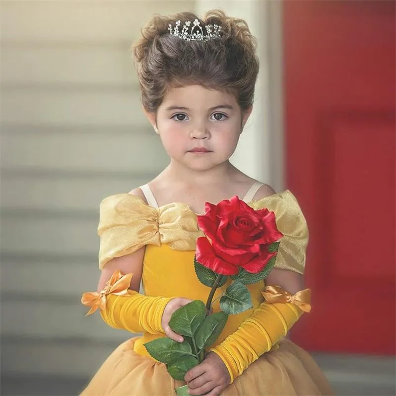 Fancy Beauty and the Beast Baby Girl Halloween Cosplay Costume for Carnival and Christmas Princess Dresses