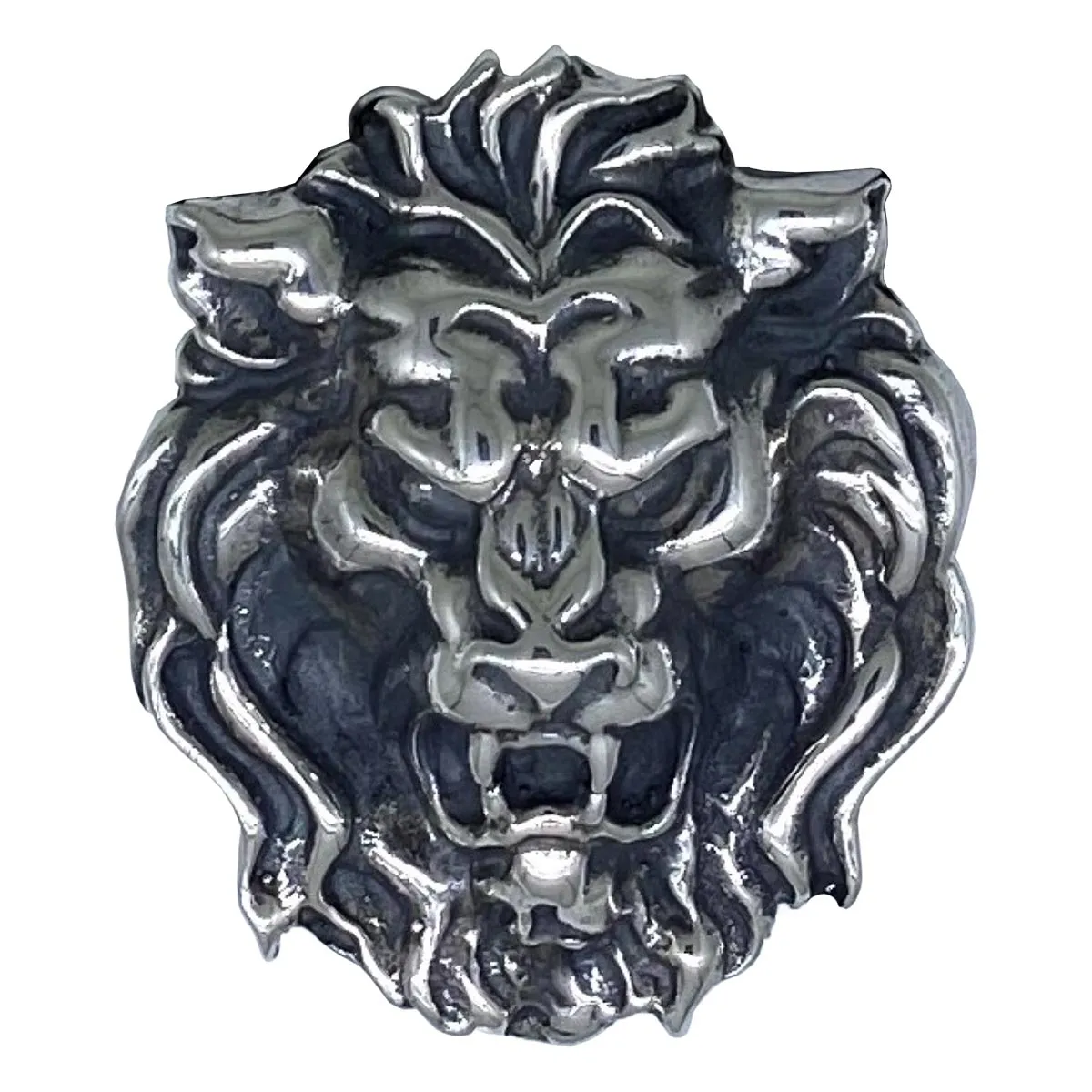 Leo on Leather Necklace