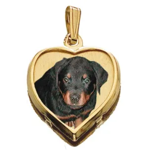 Petite Heart w/ Bezel Frame Photo Pendant Jewelry
