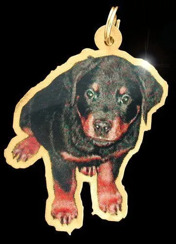 Photo Outline Pendant or Charm Jewelry